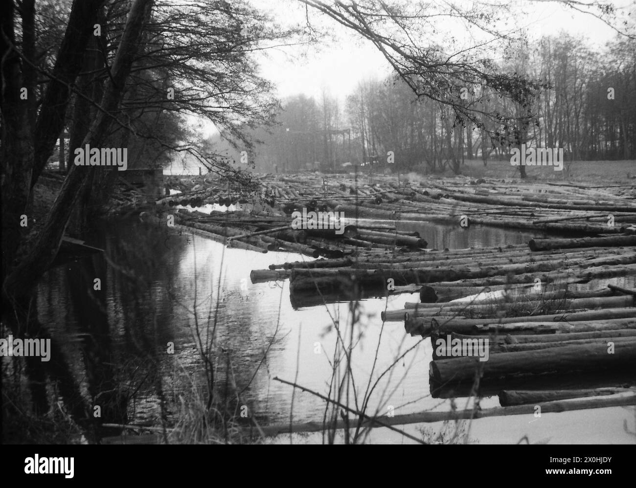 The picture was probably taken in early 1975 on one of the small canal