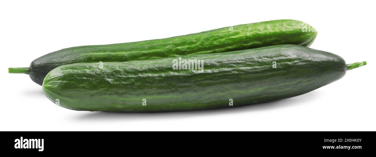 Two long fresh cucumbers isolated on white Stock Photo