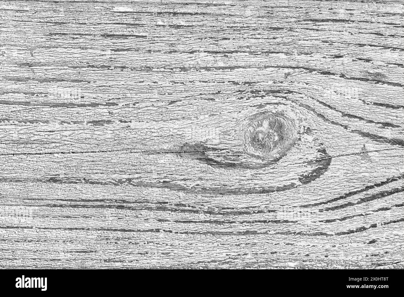 Rustic grey wooden texture with knot detail. High-resolution image showcasing the intricate patterns of a weathered grey wood grain. Stock Photo