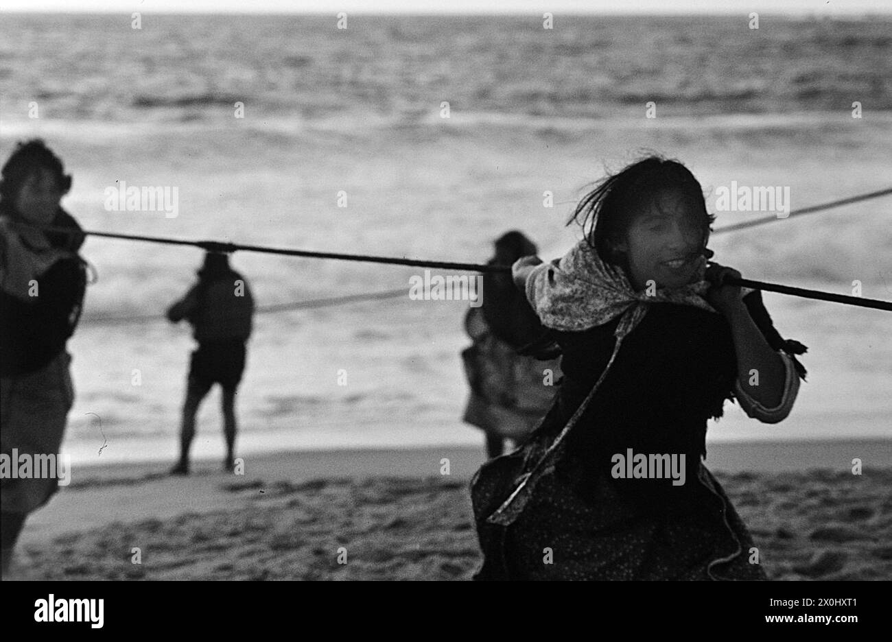 Women bring in trawls on the beach of Nazaré in Portugal. [automated translation] Stock Photo