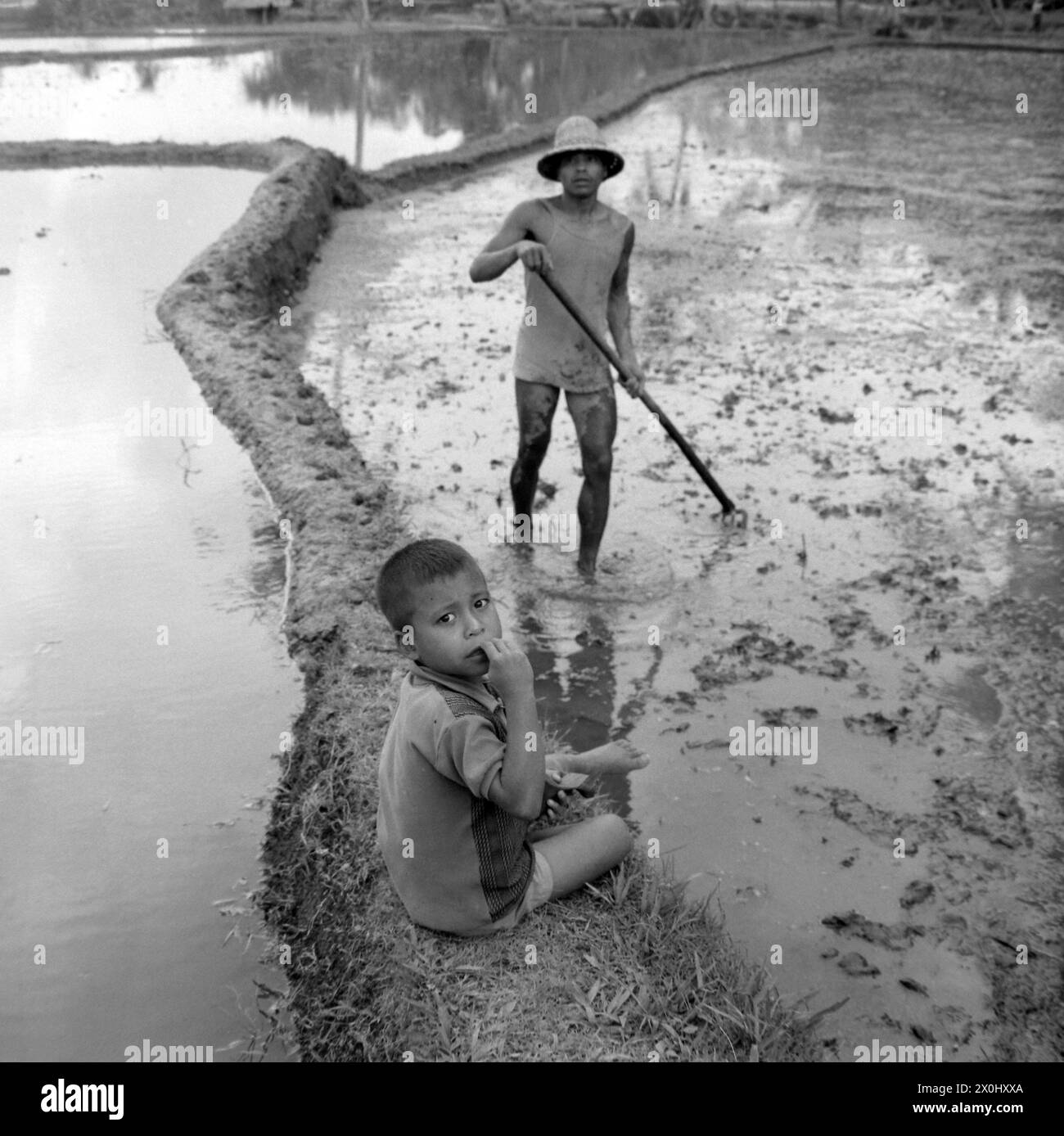 A small boy in shorts and a T-shirt is sitting on the edge of a rice field filled with water. An older boy in a tank top and hat is standing ankle-deep in the water of the field, his legs are smeared with earth and he is holding a hoe in his hands. [automated translation] Stock Photo