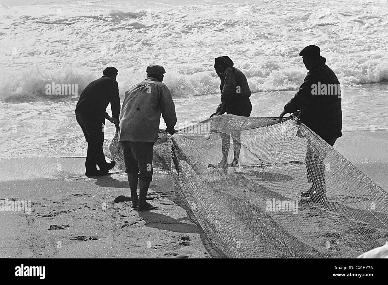 Women and men bring in trawls on the beach of Nazaré in Portugal. [automated translation] Stock Photo