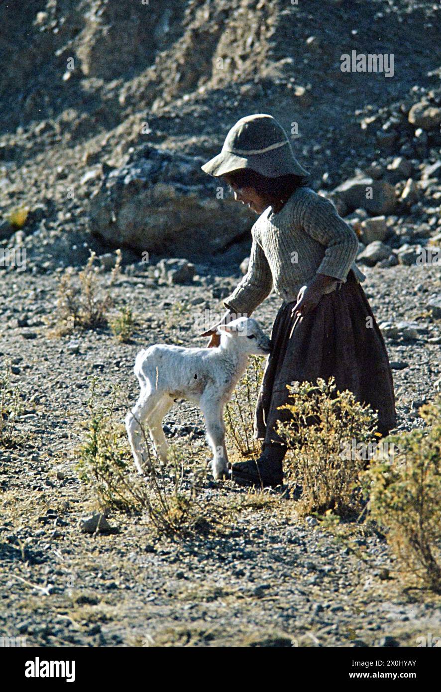A girl in Peru with a lamb. [automated translation] Stock Photo