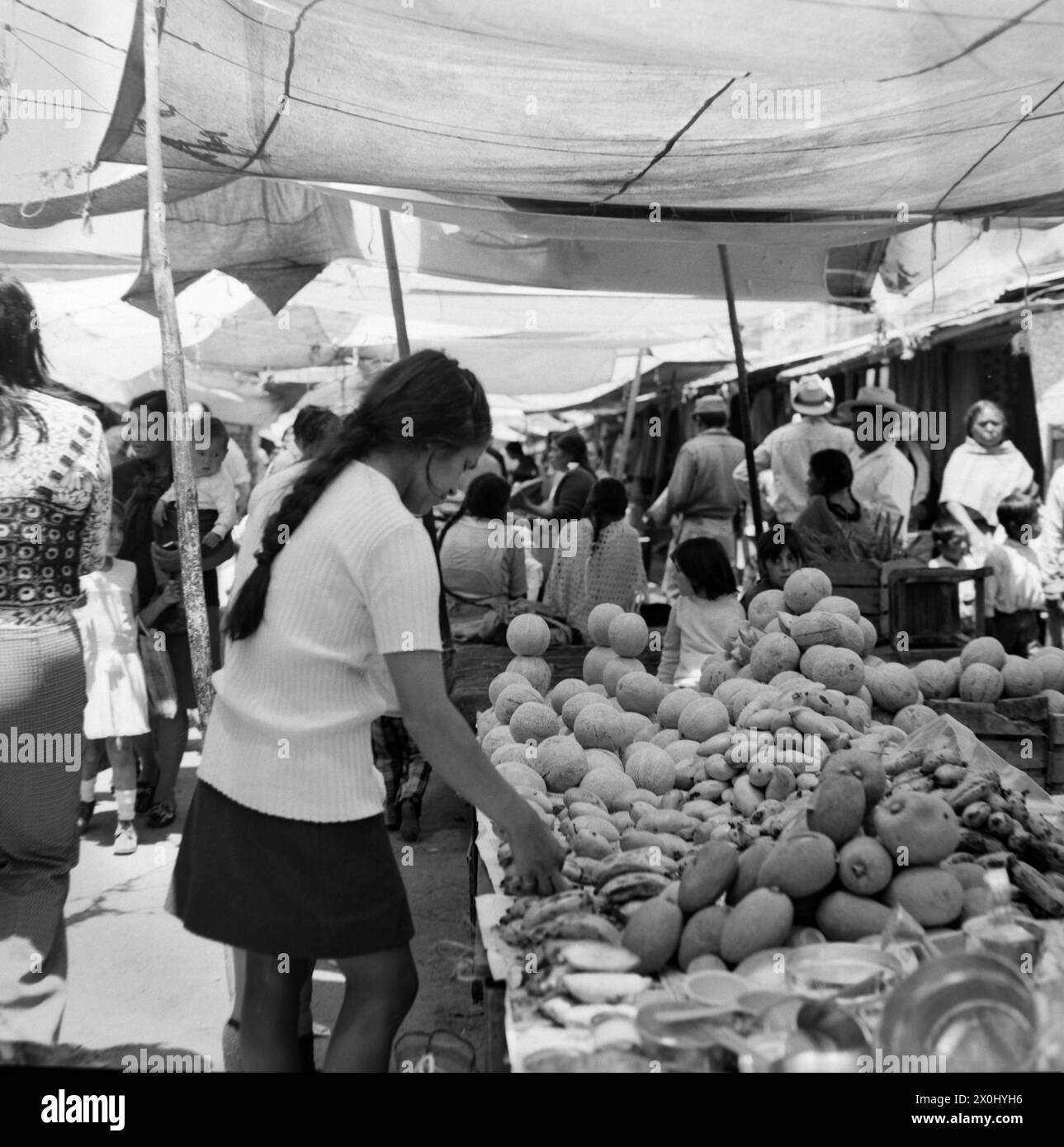 View over a market in Toluca in Mexico. A young woman stands in front of a fruit stand. Many different fruits are offered. In the background you can see more stalls and people. Tarpaulins and fabrics are stretched over the stands to provide shade. [automated translation] Stock Photo