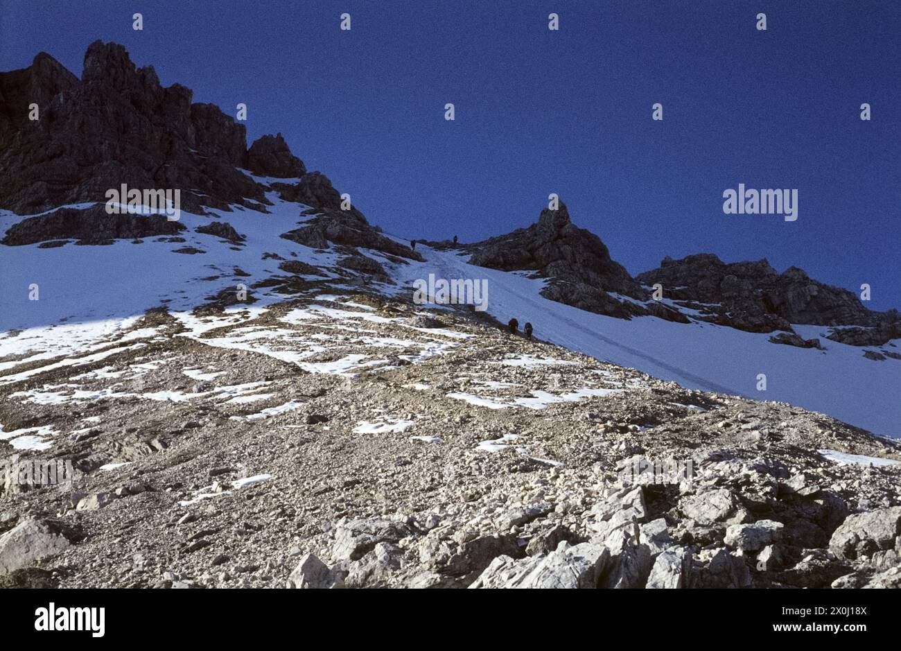 The ascent to the Schlauchkarsattel leads hikers over steep snow fields. [automated translation] Stock Photo