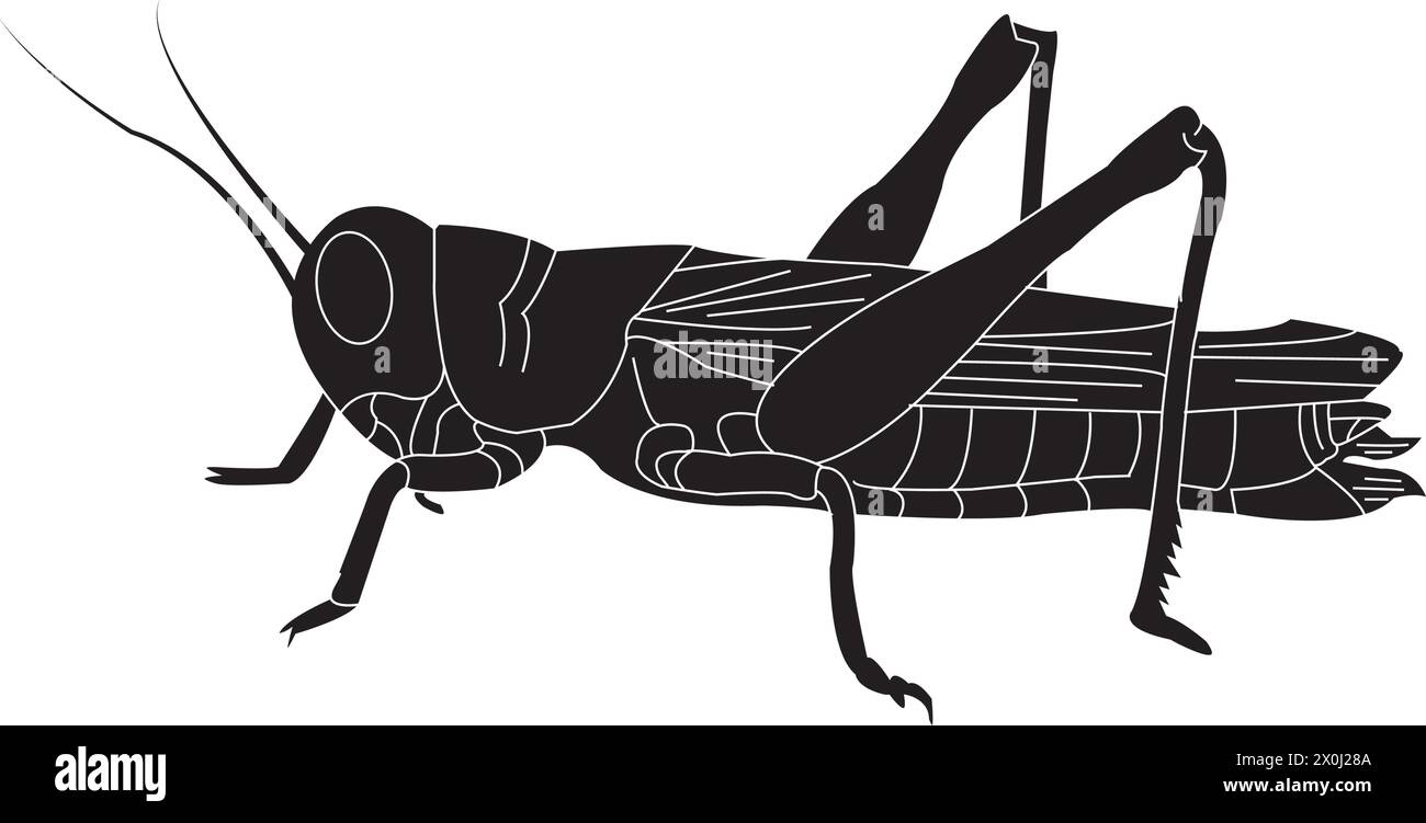 grasshopper icon vector illustration simple design Stock Vector