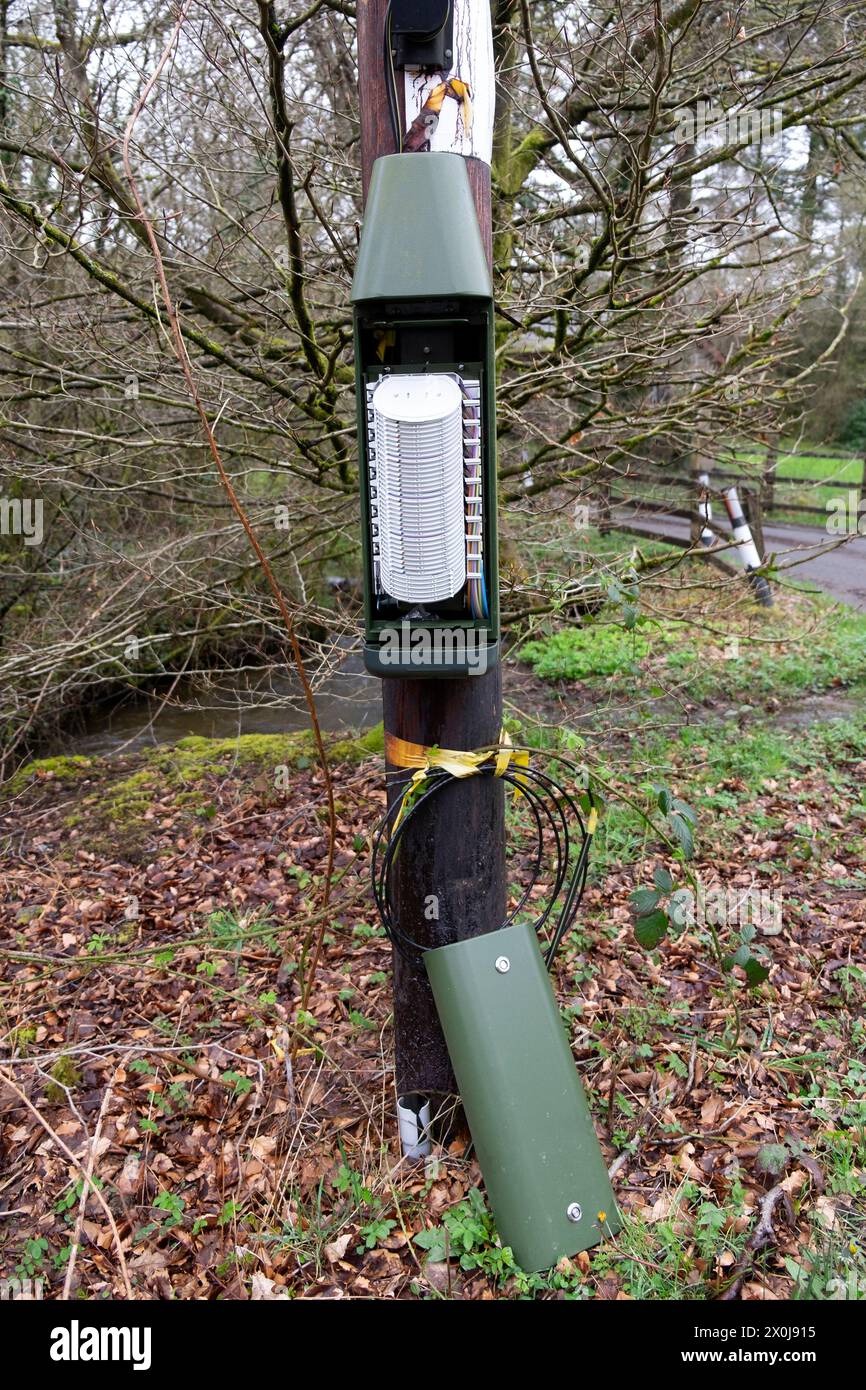 BT Open Reach green fibre broadband cabinet distribution box on a telegraph pole with cover off and internal discs equipment exposed UK KATHY DEWITT Stock Photo