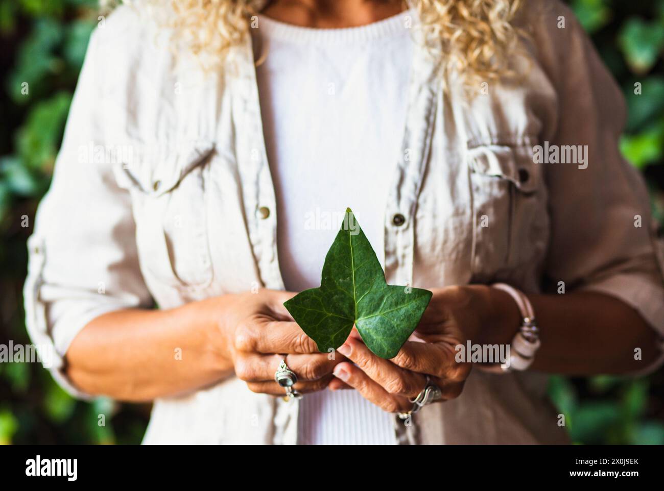 Human people and nature love concept lifestyle. Close up of woman holding natural leaf with hands. Leaves foliage nature outdoor background Stock Photo