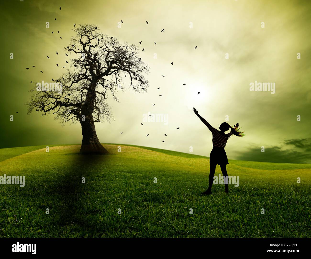 Woman with raised arms on a hill in front of a gnarled oak tree Stock Photo