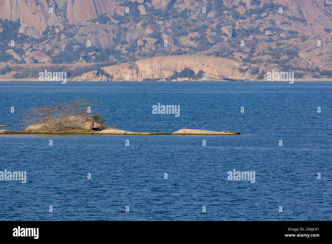 Distant view of a Crocodile basking on an islet in Jawai Dam - Rajasthan (India) Stock Photo