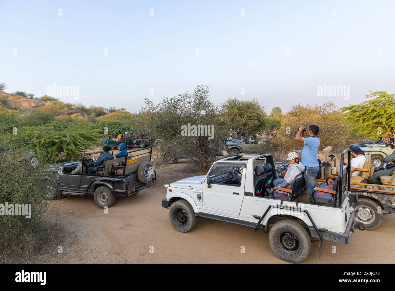 Tourists waiting for Leopard sighting in Jawai (Rajasthan, India) Stock Photo