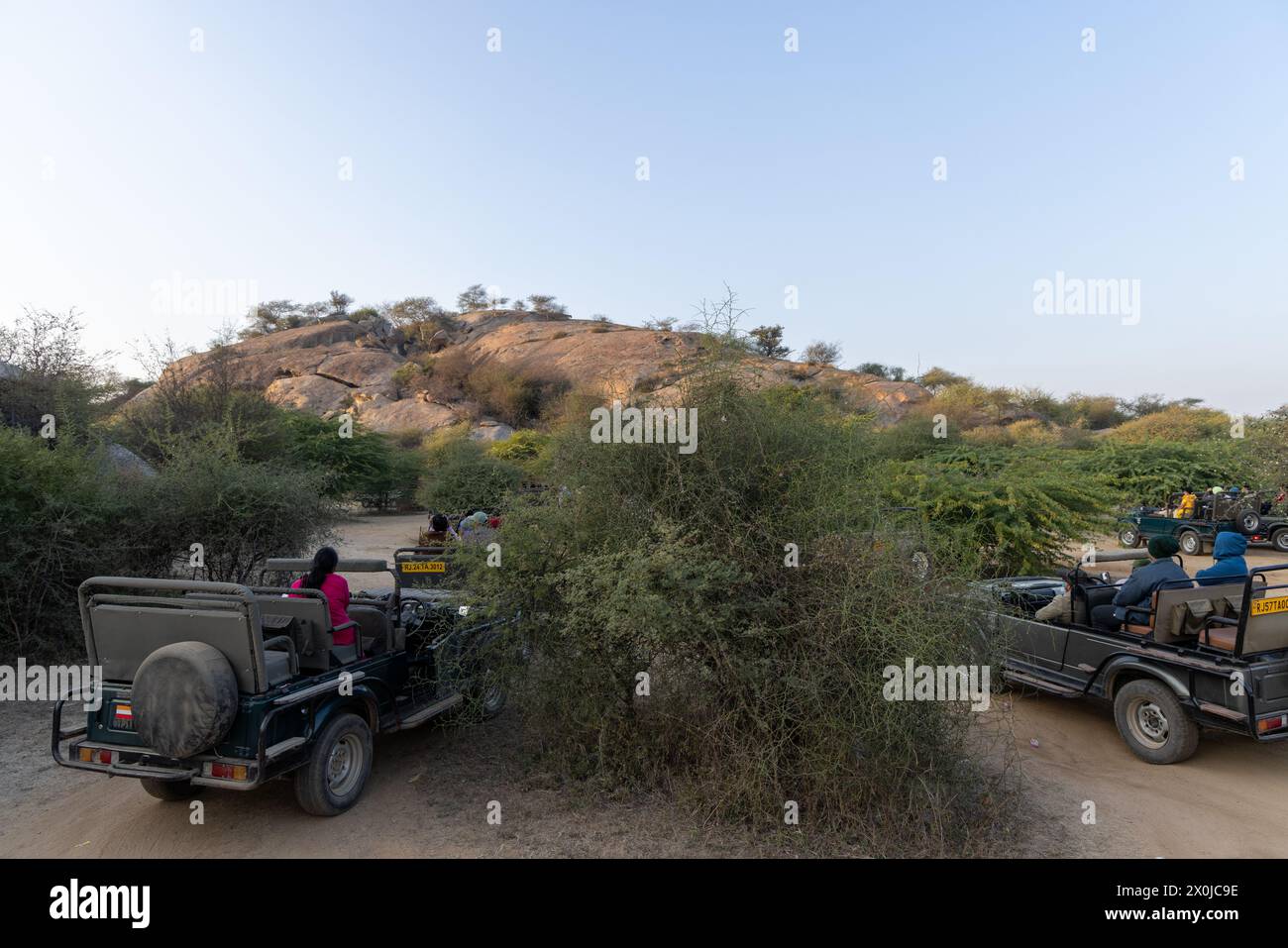 Tourists waiting for Leopard sighting in Jawai (Rajasthan, India) Stock Photo