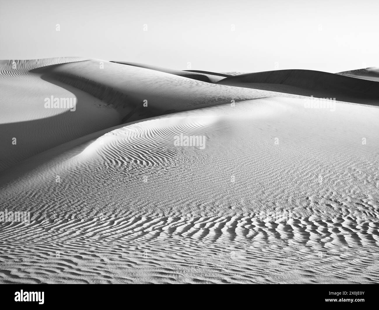 Oman, on the road in the dunes of the Rub-al-Khali, Stock Photo