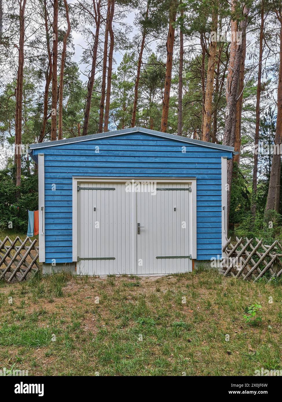 View from the public path to a blue Nordic-style wooden garage in the forest of the Baltic seaside resort of Prerow, Fischland Darss, Mecklenburg-Western Pomerania, Germany Stock Photo