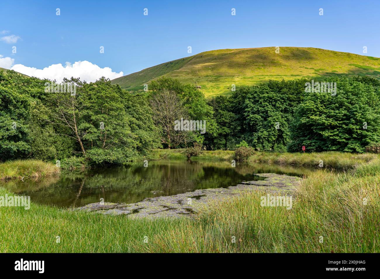 Lake in Snowdonia National Park, Wales, Great Britain, Europe Stock Photo