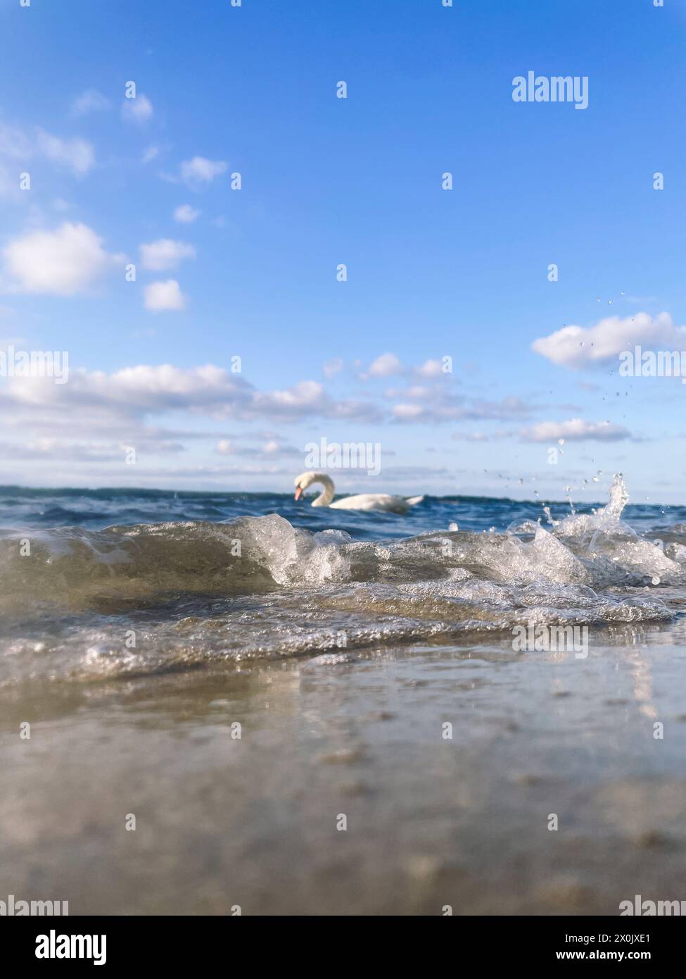 day on the beach in Sandwig, Glücksburg, Baltic Sea Stock Photo