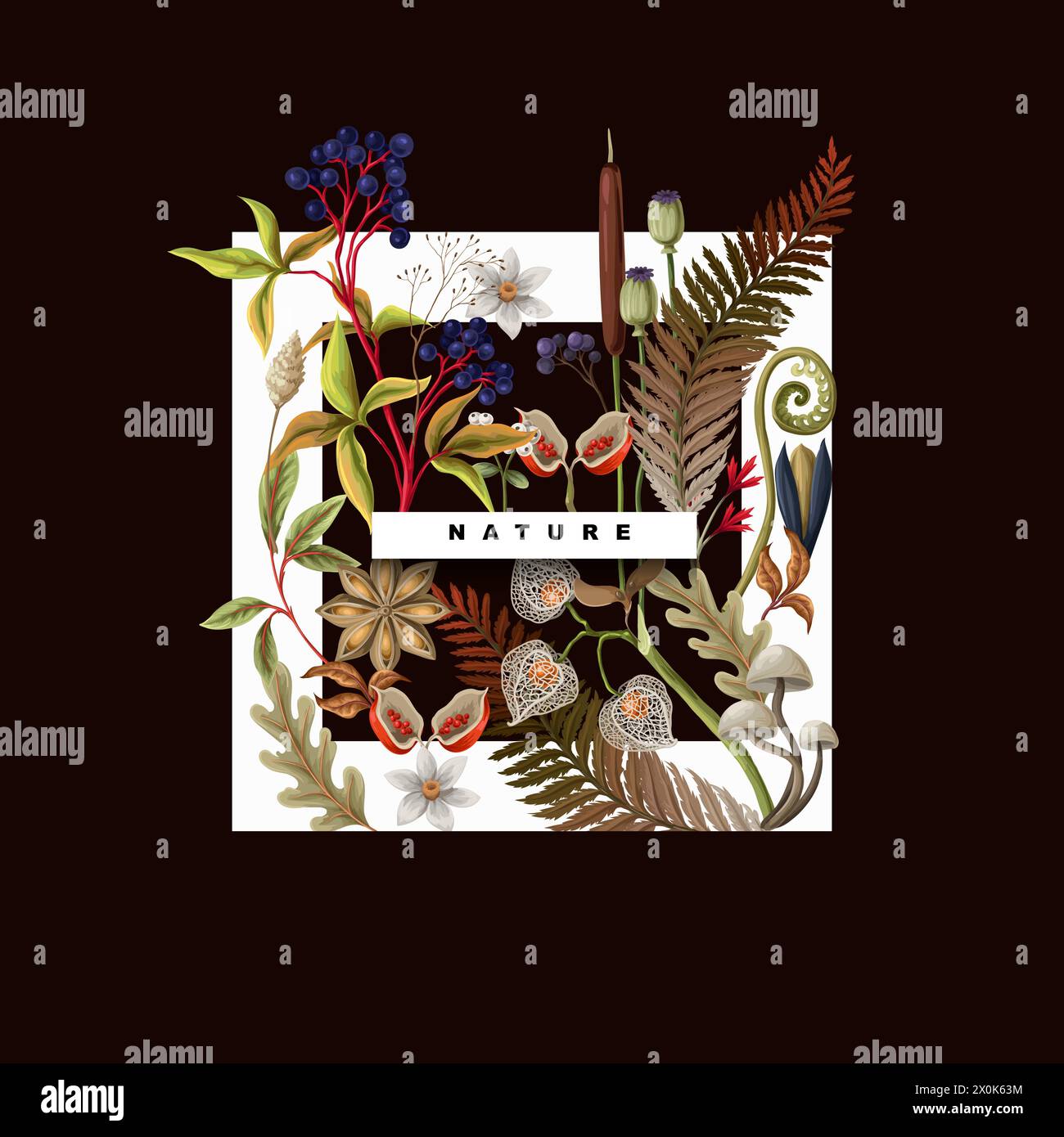 Poster with autumn leaves, berries and seeds. Vector Stock Vector Image ...