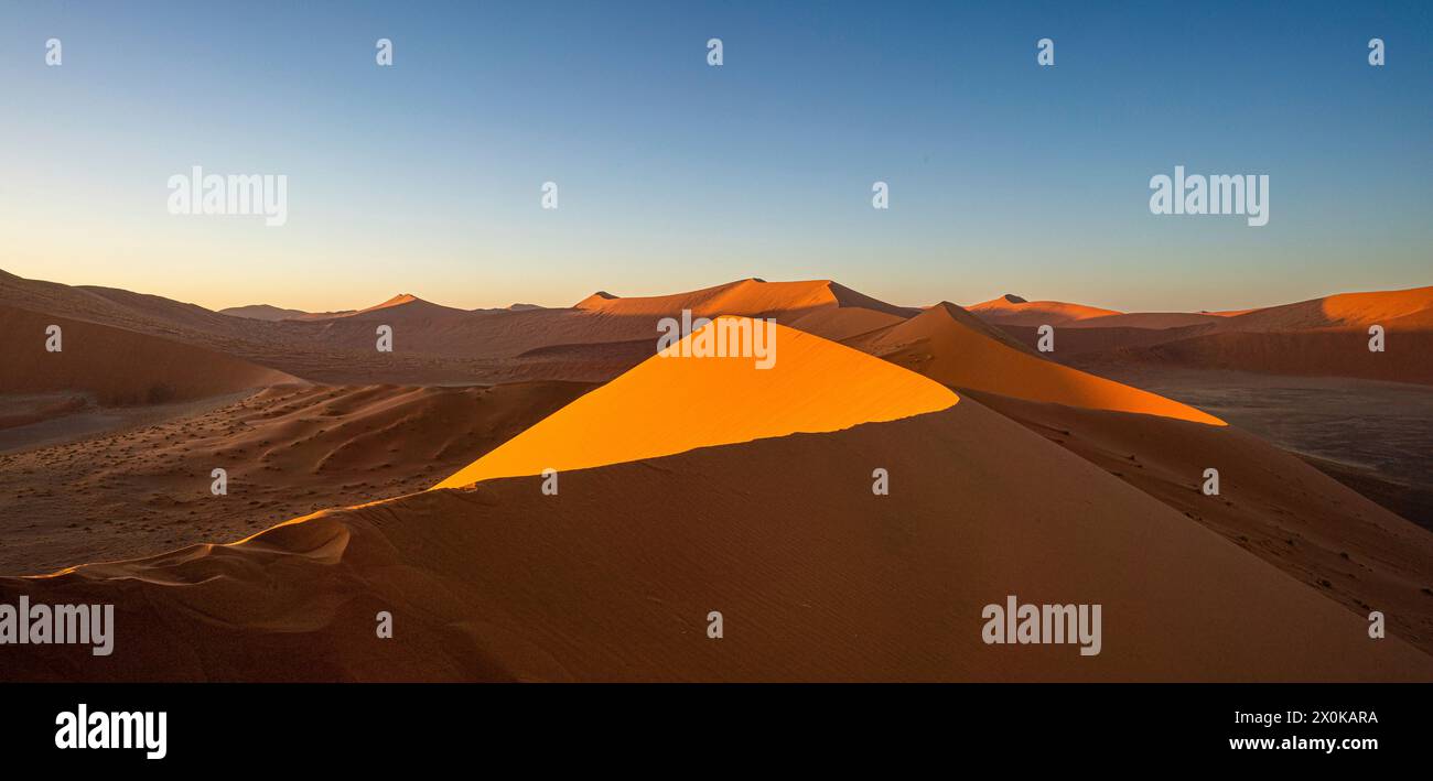 Namib naukluft park at sunrise hi-res stock photography and images - Alamy