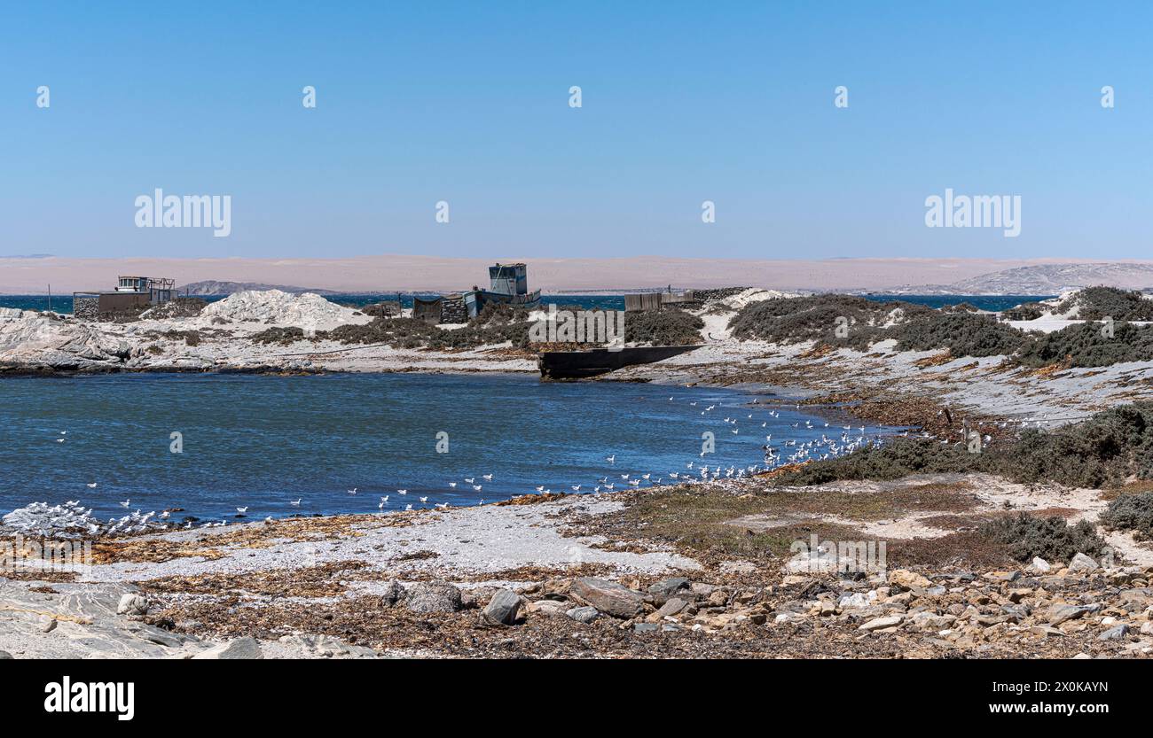 Diaz Point, a spur of the Lüderitz Peninsula near the town of Lüderitz in Namibia Stock Photo