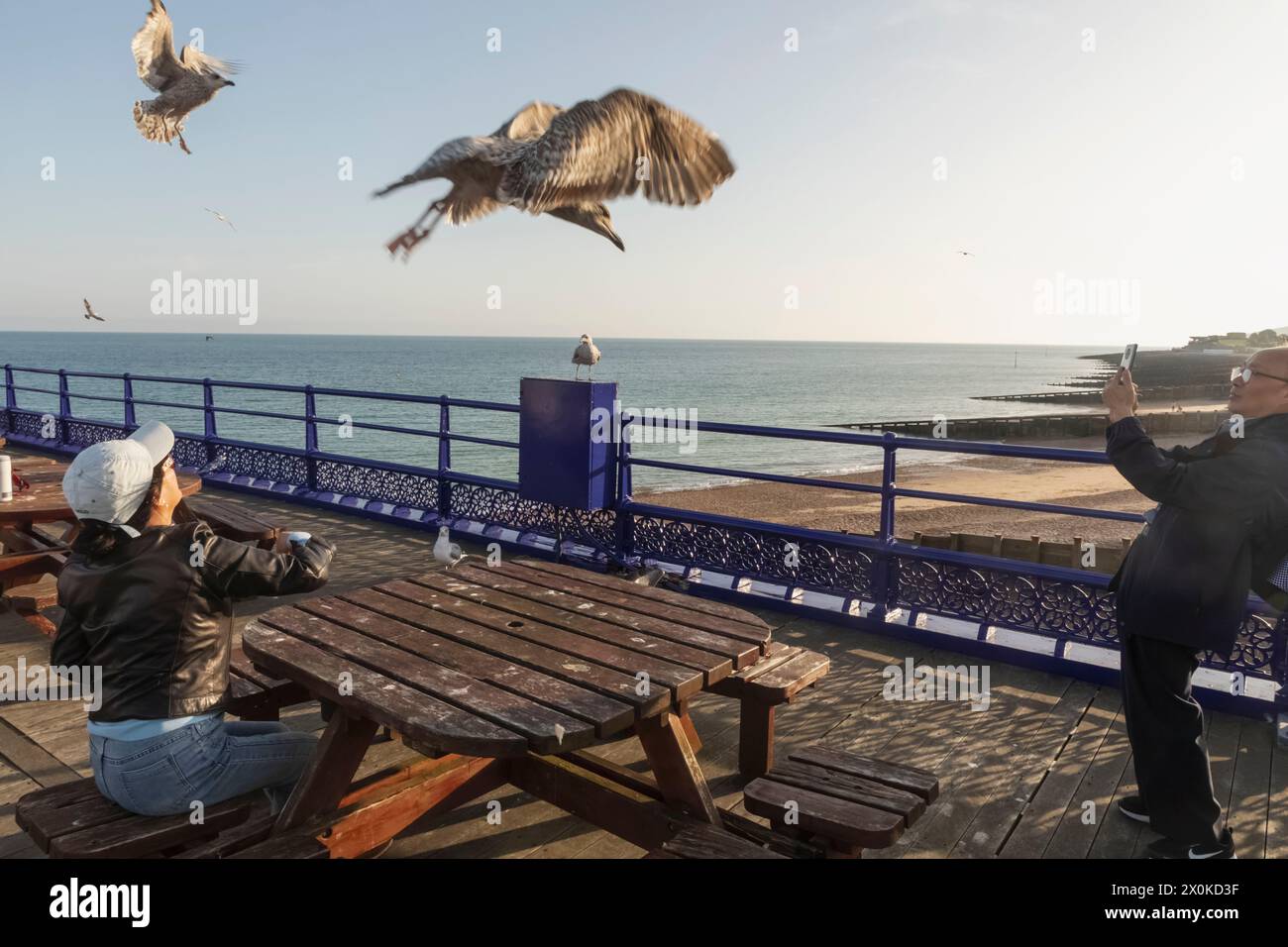 England, East Sussex, Eastbourne, Eastbourne Pier, Chinese Tourists Feeding Seagulls Stock Photo