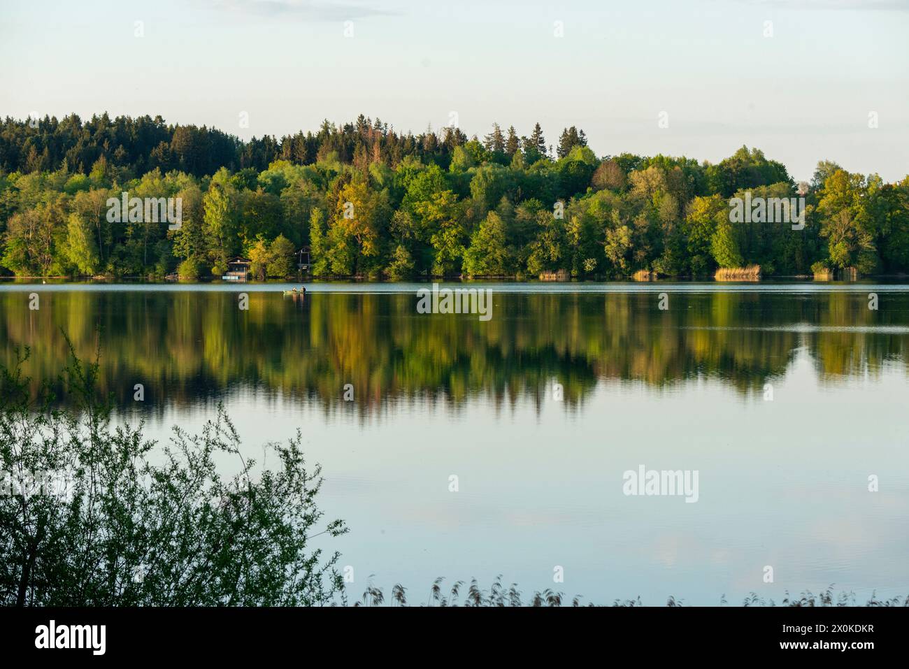 Spring, Lake Abstdorf, Landscape Stock Photo