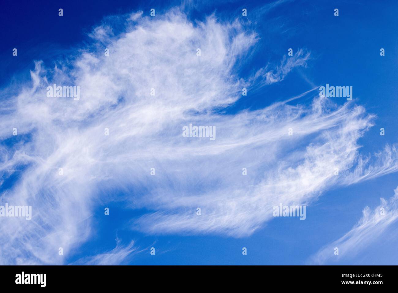 Cirrus clouds ruffled by the wind in the blue sky Stock Photo