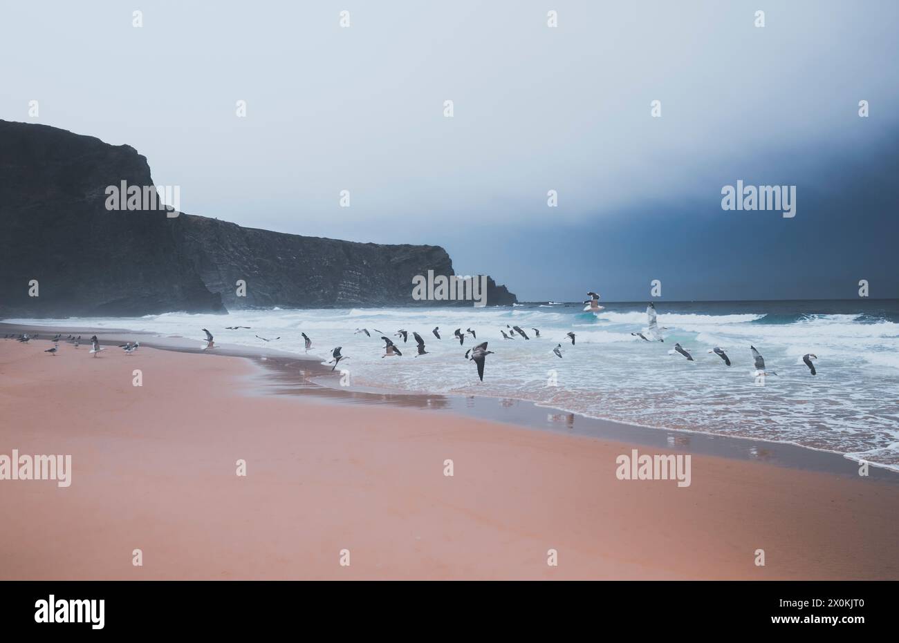 Seagulls on the cliffs of the western Algarve in Protugal in stormy weather Stock Photo