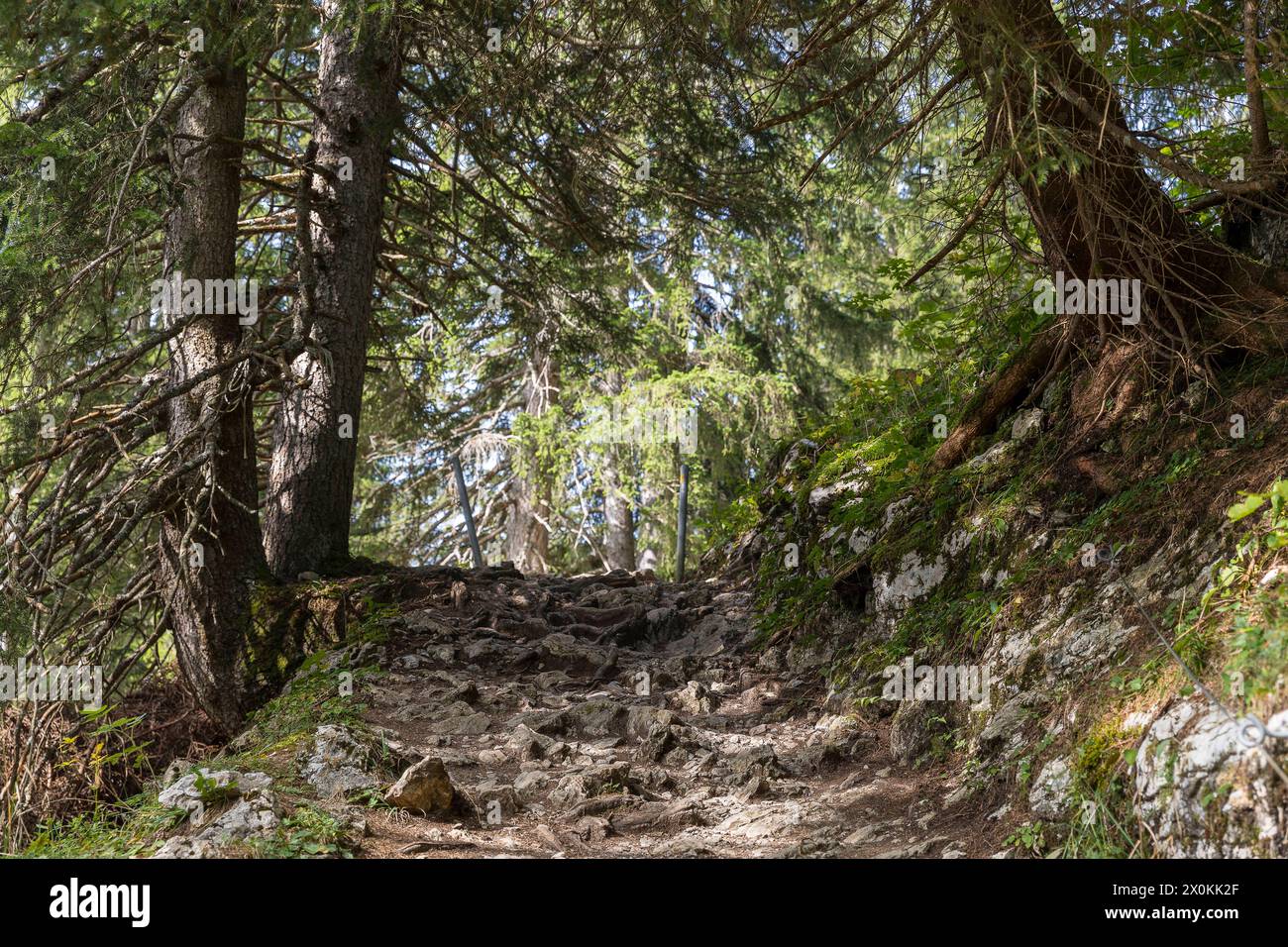 Steiniger wanderweg hi-res stock photography and images - Alamy