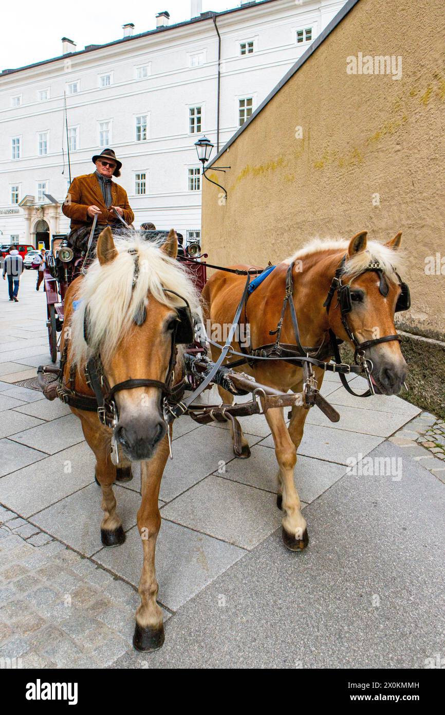 Horse drawn carriage drives hi-res stock photography and images - Alamy