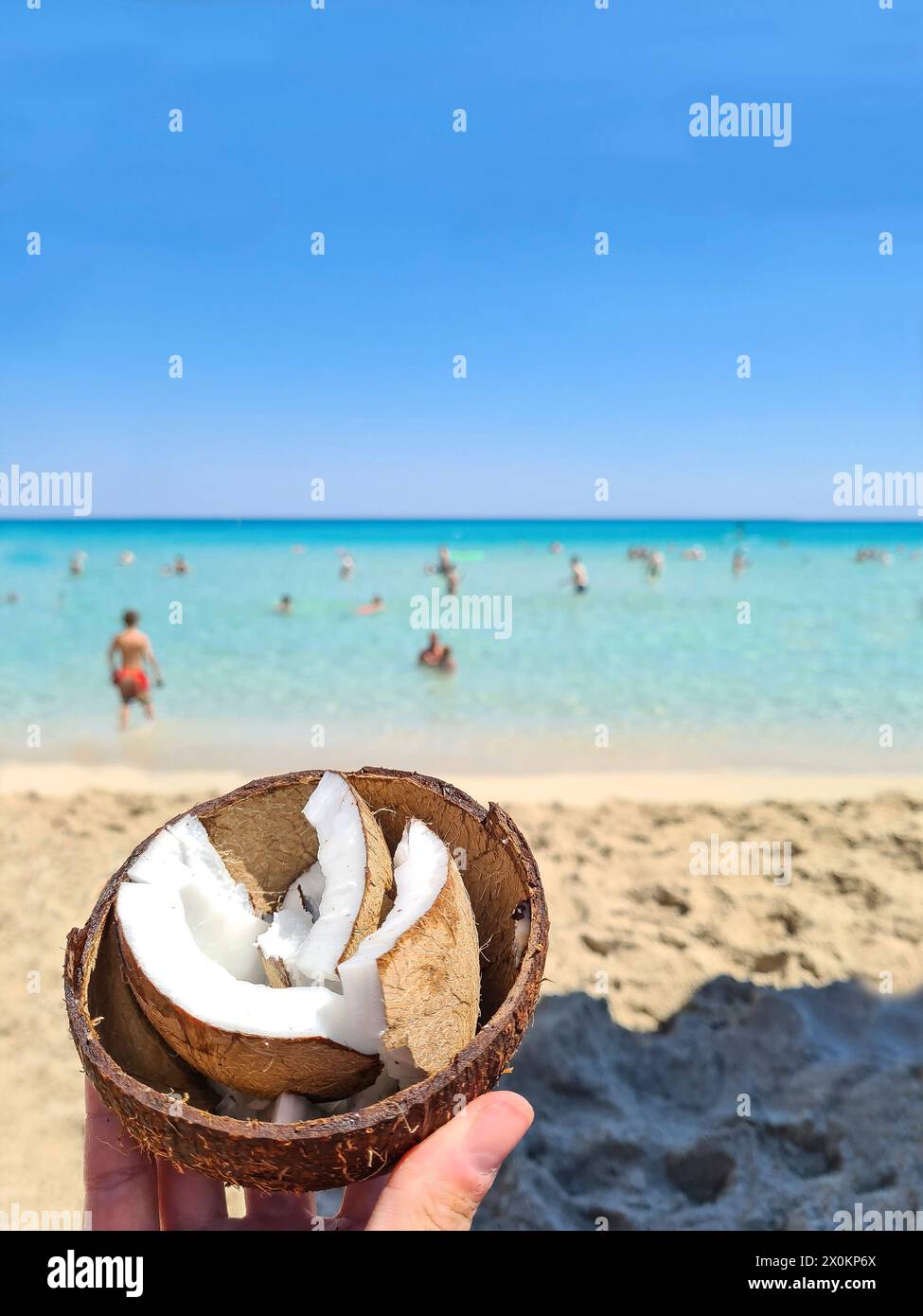 A woman's hand holds an open coconut with shell in the foreground, typical snack on the beach during summer vacation in Mallorca, Spain Stock Photo