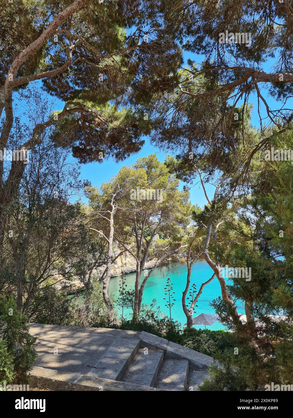 View of the public passage to the beach with pines and trees through which you can see the picturesque turquoise bay of Port Christo, Mallorca, Spain Stock Photo