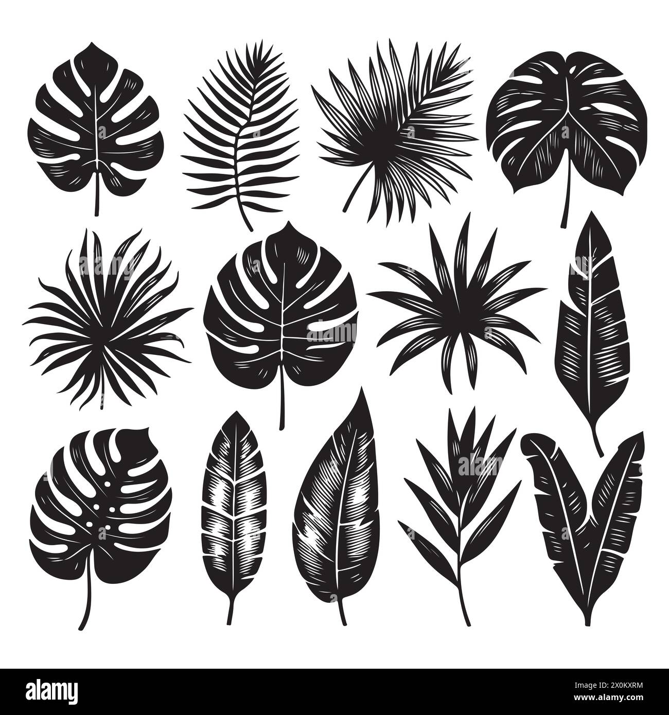 Silhouette set of Tropical leaves Stock Vector Image & Art - Alamy