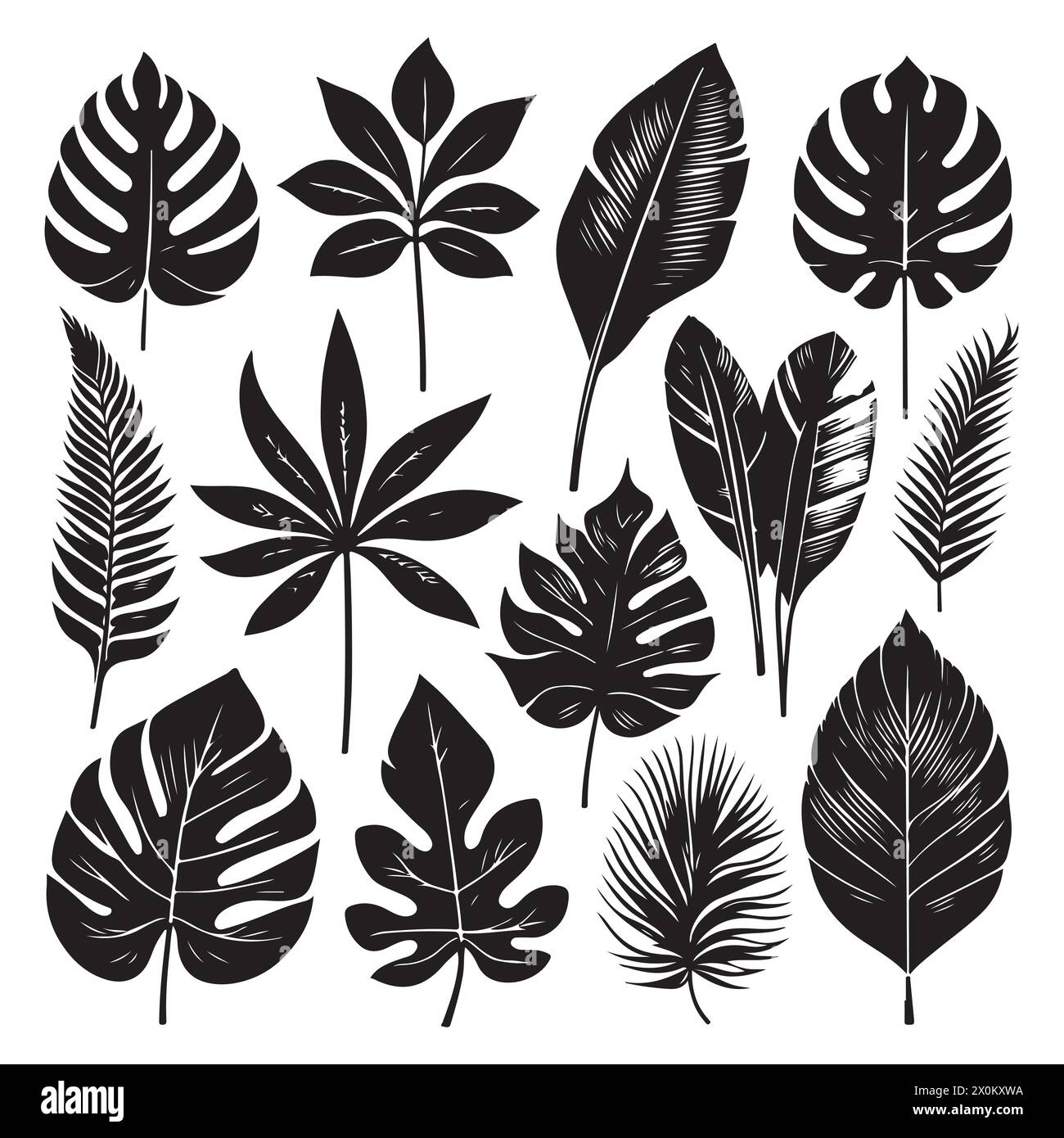 Silhouette set of Tropical leaves Stock Vector Image & Art - Alamy