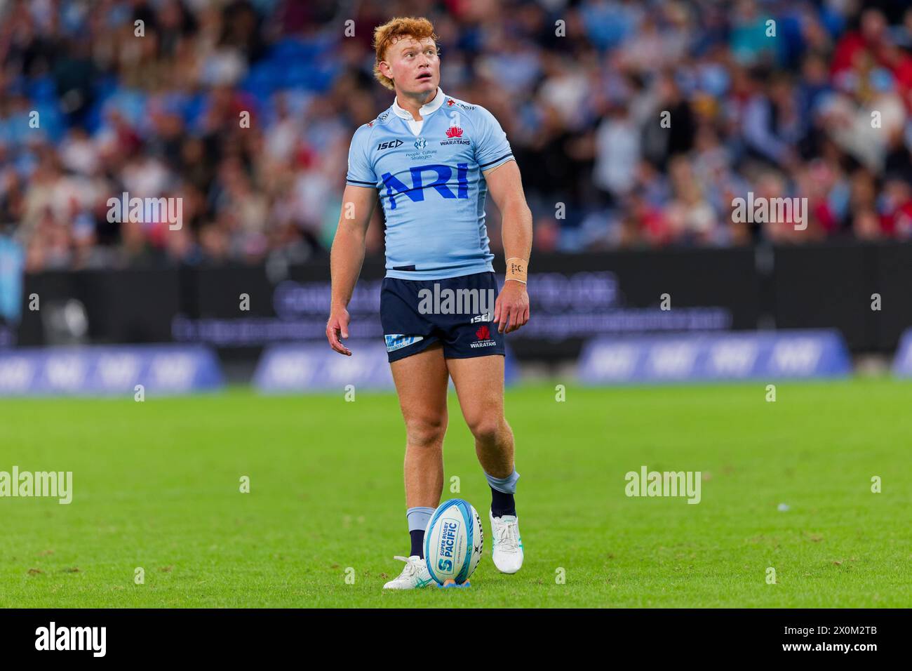 Sydney, Australia. 12th Apr, 2024. Tane Edmed of the Waratahs prepares to kick at goals during the Super Rugby Pacific 2024 Rd8 match between the Waratahs and the Crusaders at Allianz Stadium on April 12, 2024 in Sydney, Australia Credit: IOIO IMAGES/Alamy Live News Stock Photo