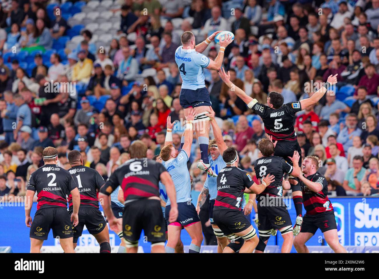 Sydney, Australia. 12th Apr, 2024. Jed Holloway of the Waratahs wins the lineout ball during the Super Rugby Pacific 2024 Rd8 match between the Waratahs and the Crusaders at Allianz Stadium on April 12, 2024 in Sydney, Australia Credit: IOIO IMAGES/Alamy Live News Stock Photo