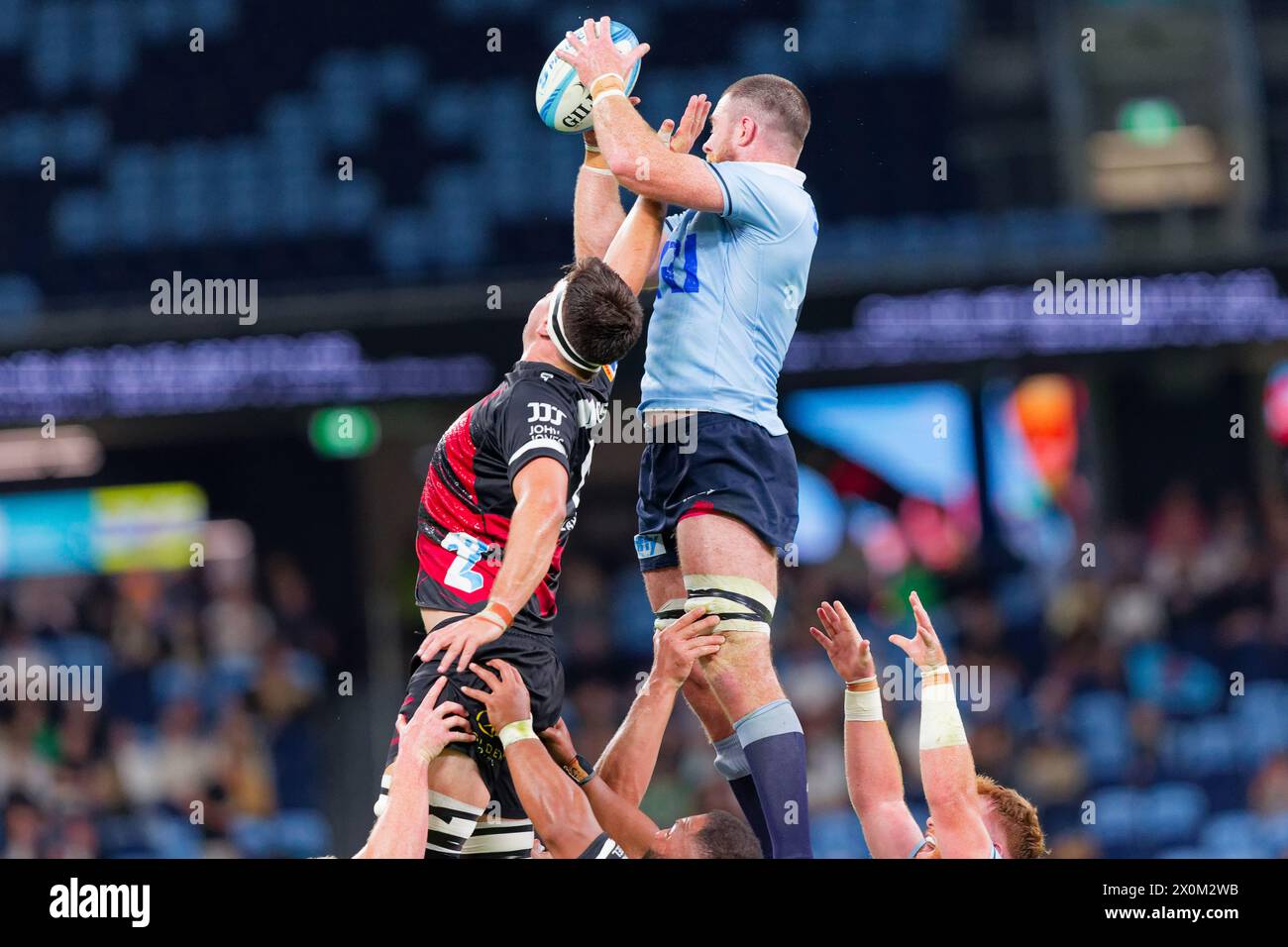 Sydney, Australia. 12th Apr, 2024. Jed Holloway of the Waratahs wins the lineout ball during the Super Rugby Pacific 2024 Rd8 match between the Waratahs and the Crusaders at Allianz Stadium on April 12, 2024 in Sydney, Australia Credit: IOIO IMAGES/Alamy Live News Stock Photo