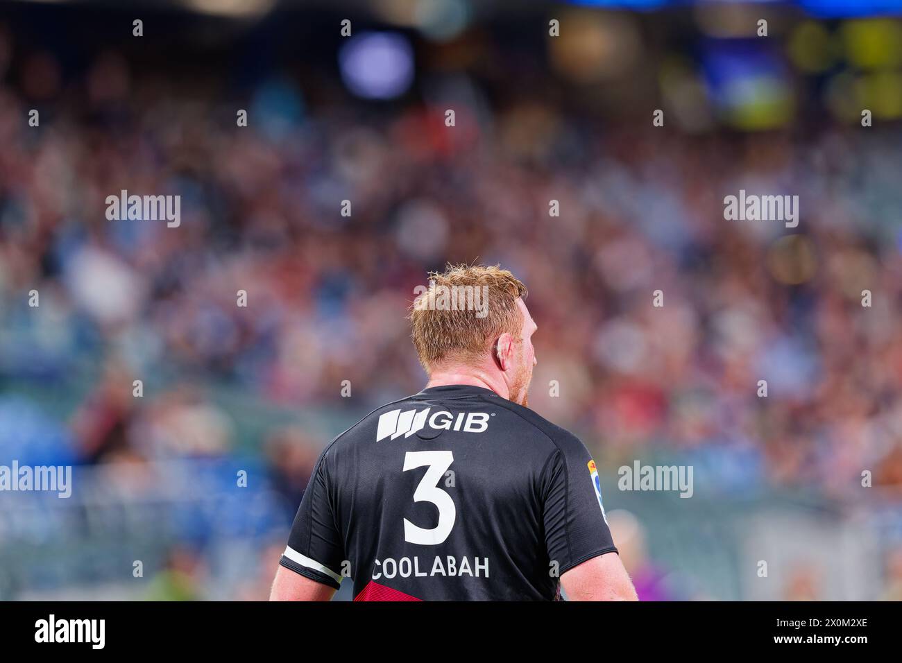 Sydney, Australia. 12th Apr, 2024. Fletcher Newell of the Crusaders looks on during the Super Rugby Pacific 2024 Rd8 match between the Waratahs and the Crusaders at Allianz Stadium on April 12, 2024 in Sydney, Australia Credit: IOIO IMAGES/Alamy Live News Stock Photo