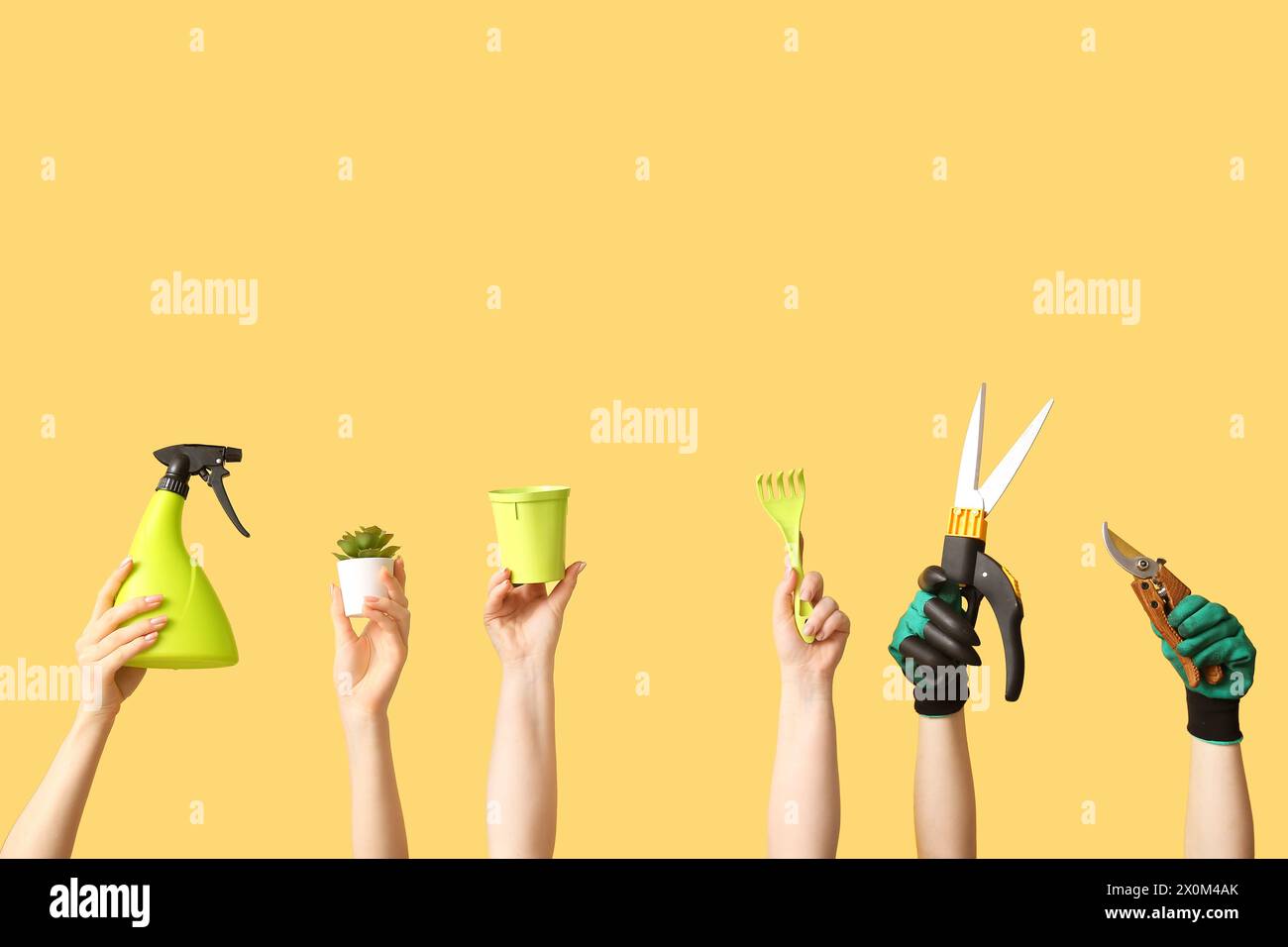 Female hands with different gardening tools on yellow background Stock Photo