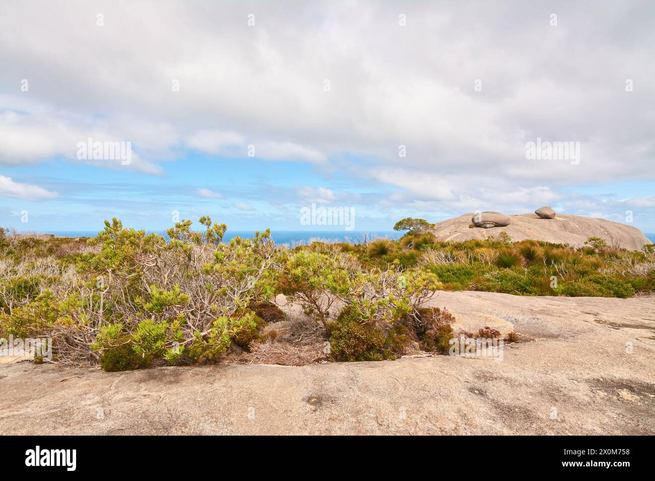 Coastal vegetation and granite rocks near the ocean at Stony Hill, Torndirrup National Park, Albany, Great Southern region, Western Australia. Stock Photo