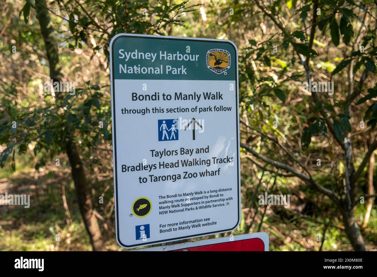 Sydney Harbour National park, Bondi to manly coastal walk, heading towards Taylors Bay, Bradleys head and Taronga zoo wharf, Sydney,NSW,Australia Stock Photo