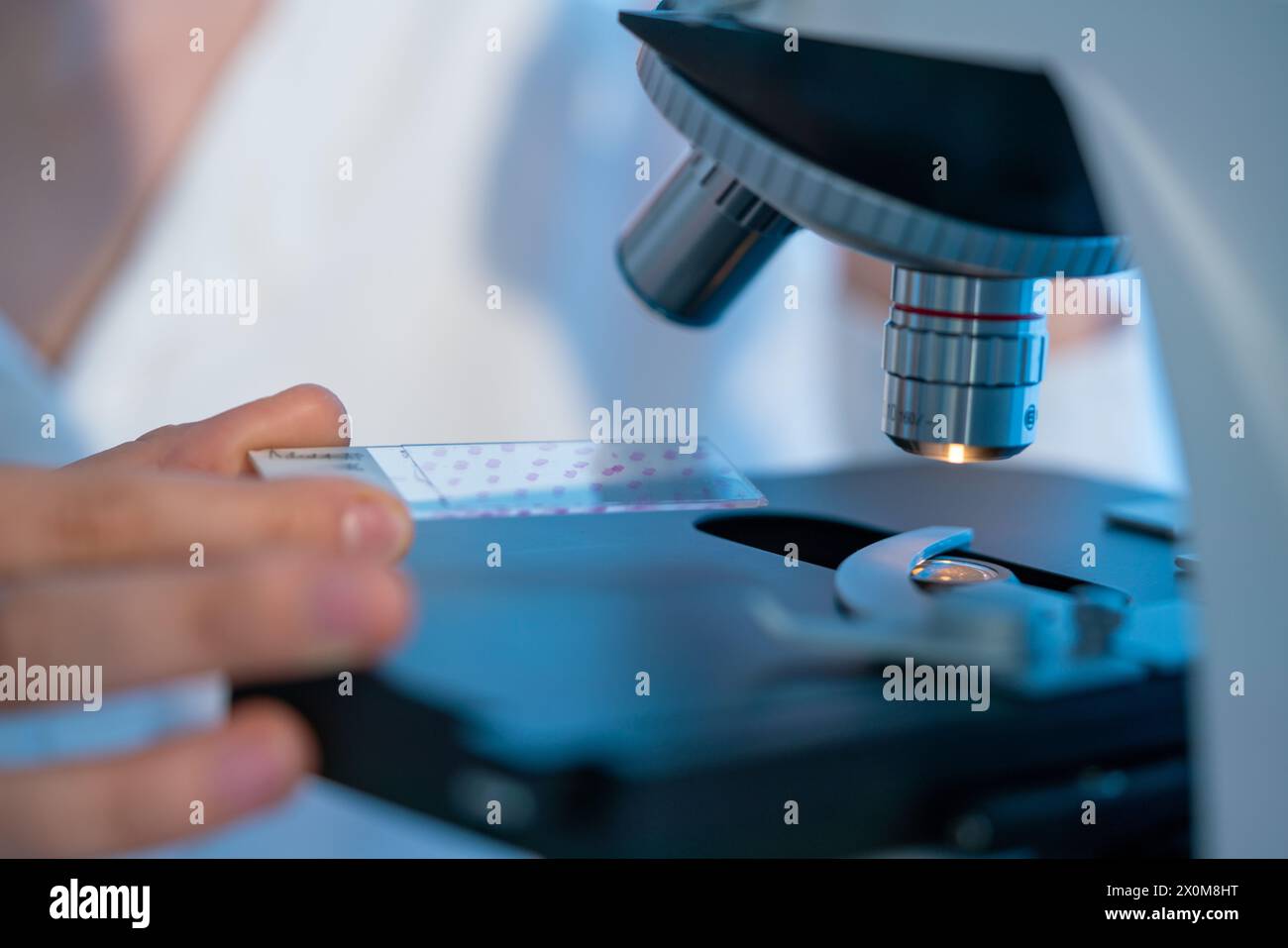 Analysis of a glass slide with a microscope Stock Photo - Alamy