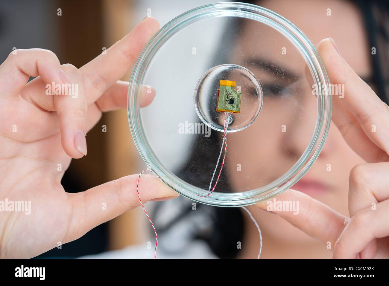 Scientist examining a microchip. Stock Photo