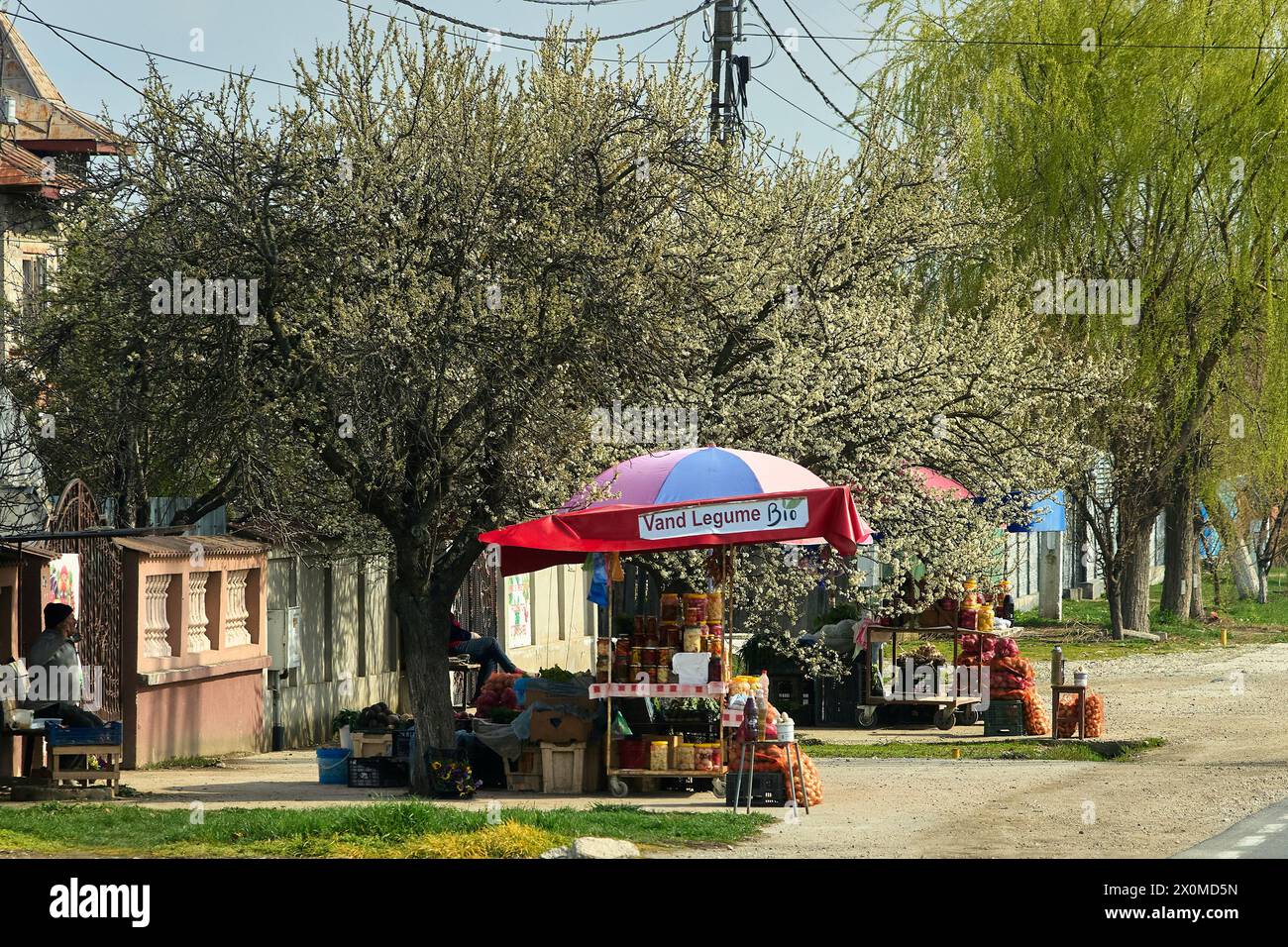 Ilfoveni, Romania. 18th March, 2024: Agro-food producers sell their fresh organic vegetable products in front of their houses, in Ilfoveni village, Da Stock Photo