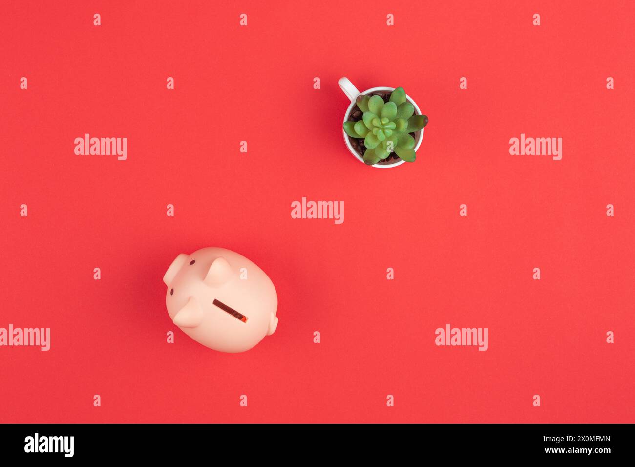 Piggy bank top view. Flat lay Stock Photo