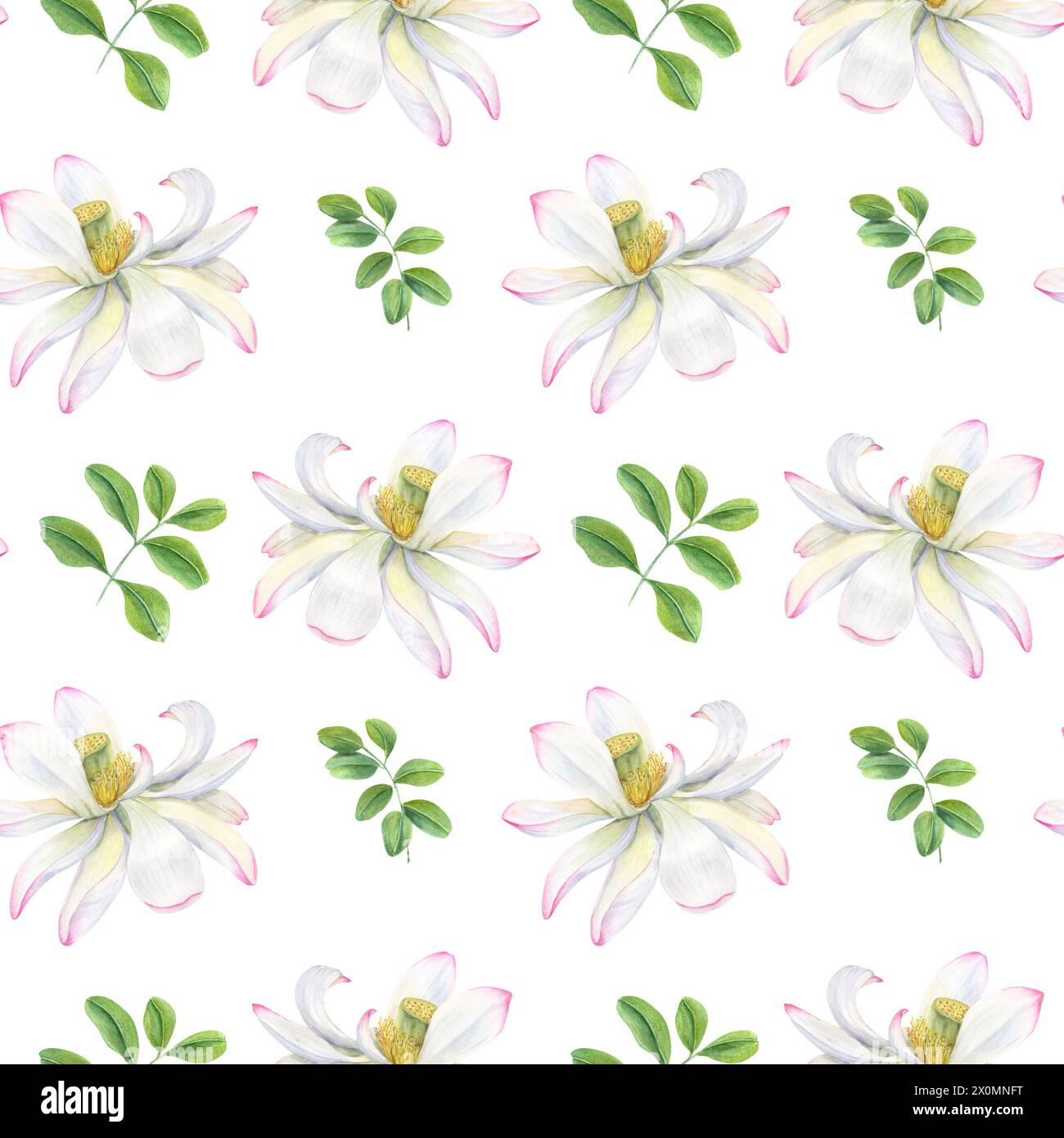 White lotus flowers with green tropical leaves. Seamless floral pattern. Waterlilies, clitoria leaf. Blooming exotic flowers. Watercolor illustration Stock Photo