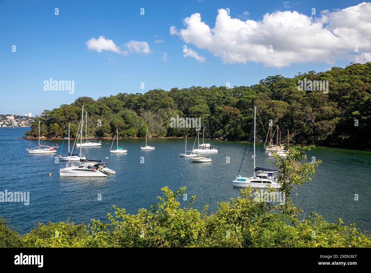 Taylors Bay on the lower north shore in Mosman Sydney, a secluded bay popular with yachties off the Bondi to Manly Scenic walk, Sydney,NSW,Australia Stock Photo
