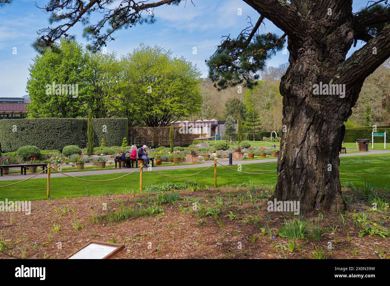 Buckfast Abbey grounds, Buckfast, Devon, England. People. Landscape format. Elderly couple. Stock Photo
