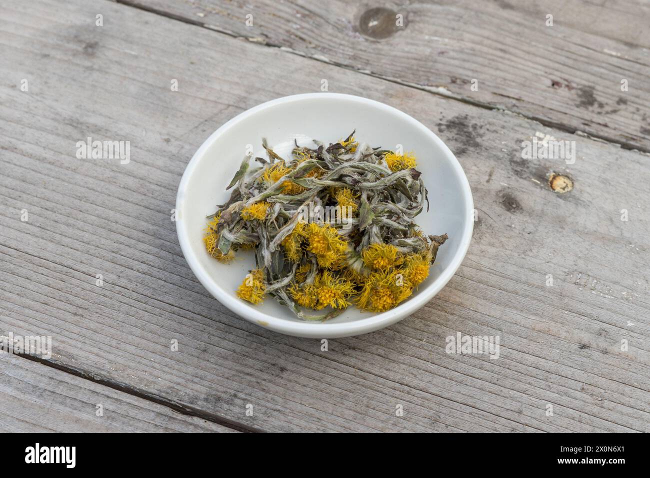 White bowl with  dried coltsfoot on a wooden background Stock Photo