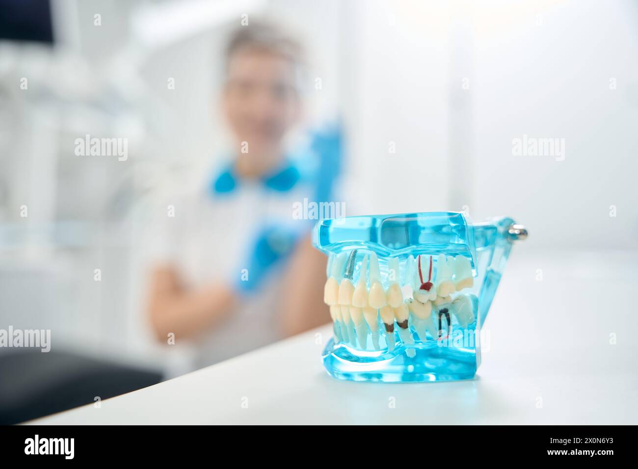 Plastic transparent 3d model of jaw lying on desk Stock Photo