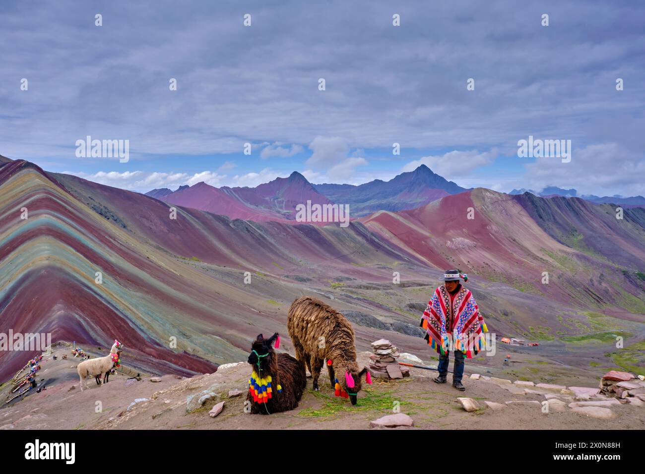 Peru, province of Cuzco, Vinicunca, Montana de Siete Colores or Rainbow Mountain, lama for tourist Stock Photo